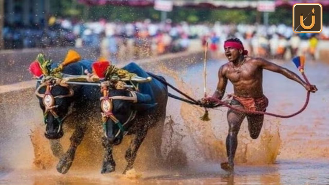 Usthadian Academy / Bengaluru Set To Host Namma Kambala On November 25 And 26